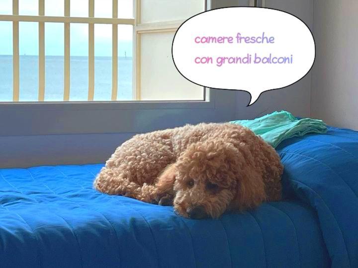 קרביה Hotel Buenos Aires מראה חיצוני תמונה