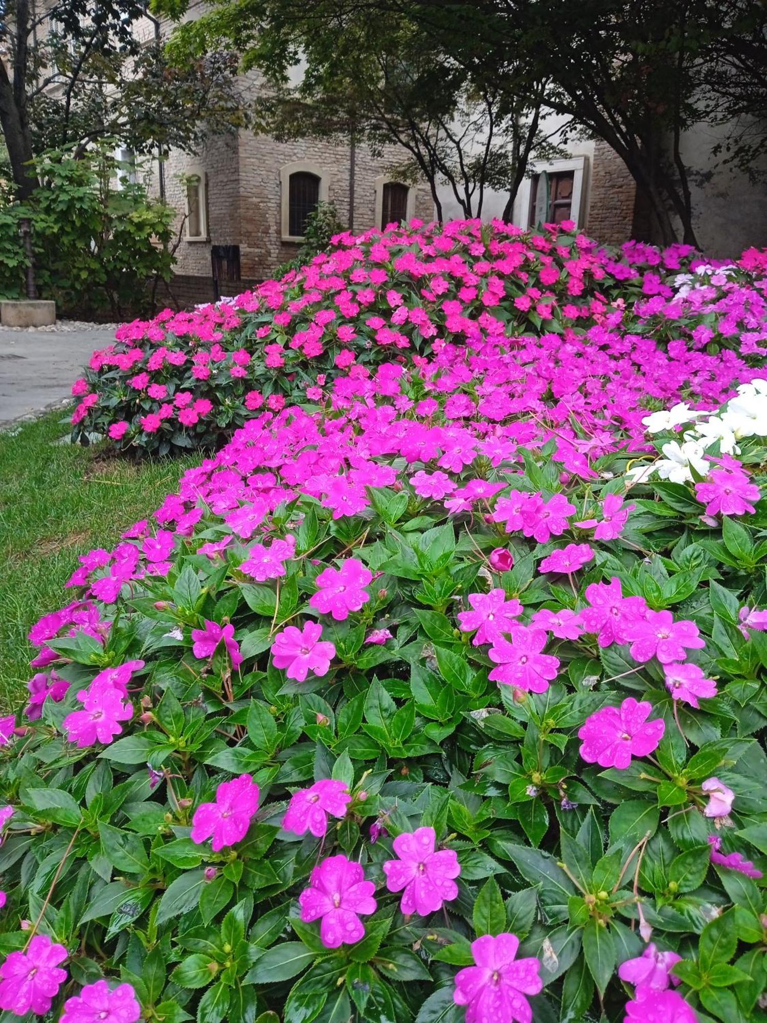 קרביה Hotel Buenos Aires מראה חיצוני תמונה